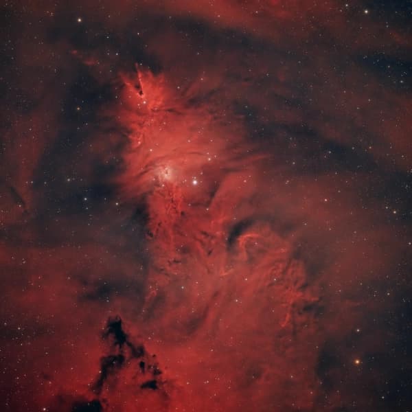 The Christmas Tree Cluster thumbnail