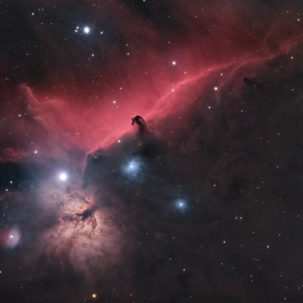 The Horsehead and Flame Nebula thumbnail