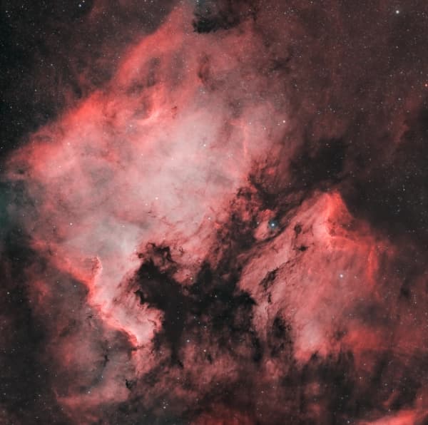 The North America & Pelican Nebula thumbnail