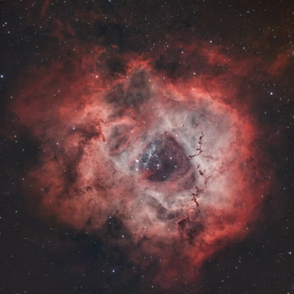 The Rosette Nebula thumbnail