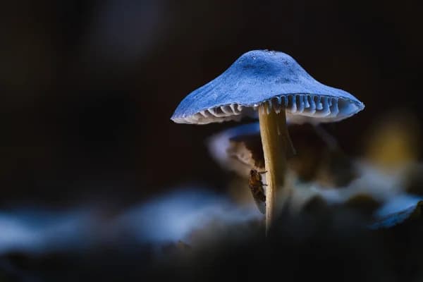 Hanging On thumbnail