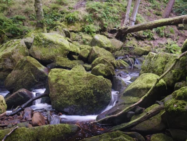 Meandering through thumbnail