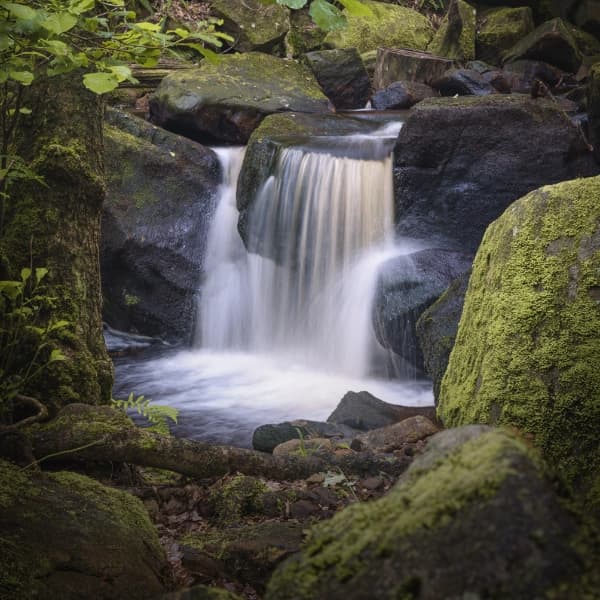 Peaking Through thumbnail