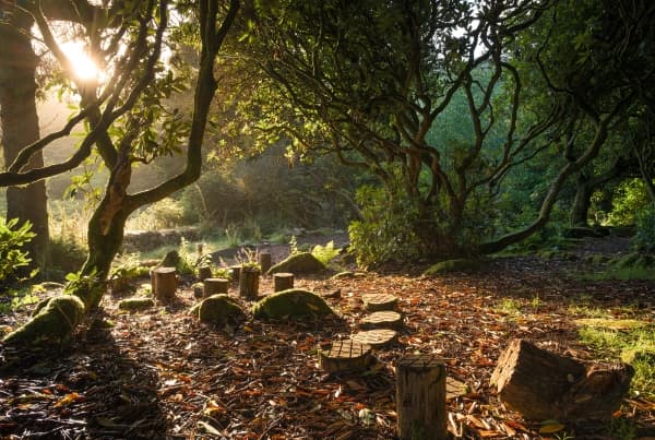 Devon category image